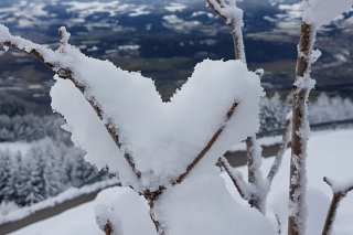 08Schneeherz-birgit.jpg