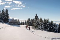 Schneeschuhwandern-Saualpe_tourismusregion_mittelkaernten.jpg