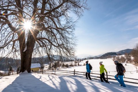 Winter in Mittelkärnten