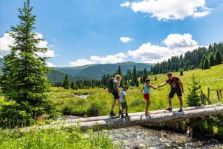 bnb_mittelkaernten_wandern_flattnitz_gloednitz_almenwasserweg_c_franz_gerdl.jpg