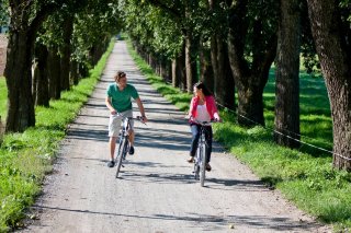 02biken_tourismusregion_mittelkaernten_tomlamm_ikarus.jpg