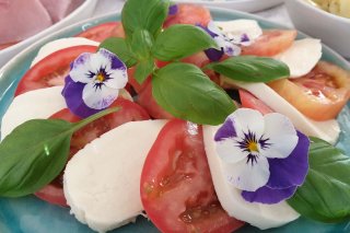 05_bnb_mittelkaernten_fruehstueck_tomaten-mozzarella.jpg