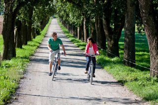 bnb_mittelkaernten_sommeruralub_-biken_ikarus_.jpg