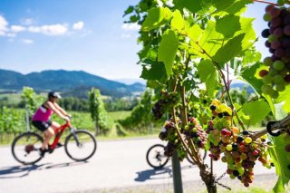 04_bnb_mittelkaernten_radfahren_c_stabentheiner.jpg